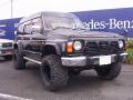 1994 Nissan Safari High Roof (Y-WRGY60) picture