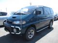 1994 Mitsubishi Delica Space Gear Exceed XR (PD8W) picture